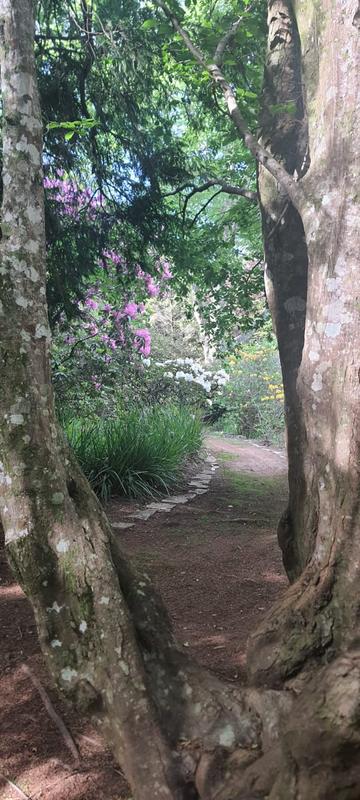 3 Bedroom Property for Sale in Hogsback Eastern Cape